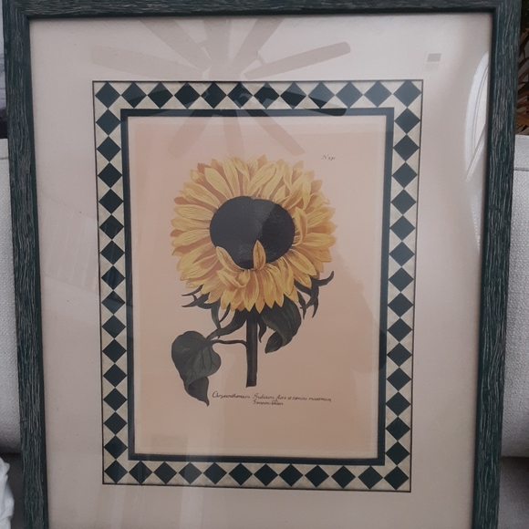 Wood matted art prints 2 rustic wall art. Green painted wood frames. - Picture 3 of 5